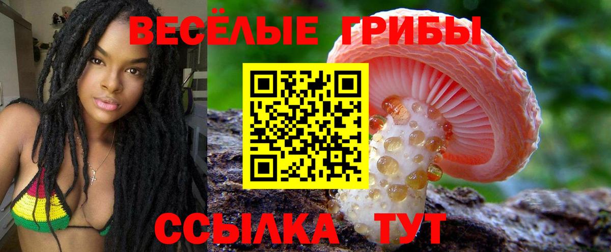 Зеленокумск  Псилоцибиновые грибы GOLDEN TEACHER  Галлюциногенные грибы Magic Shrooms  Вход с VPN 